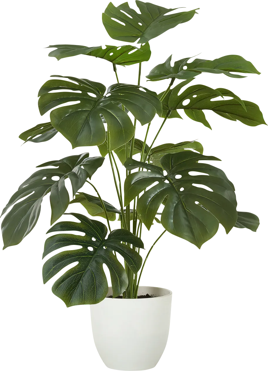 Aarav Green Silk Plant - Image 1