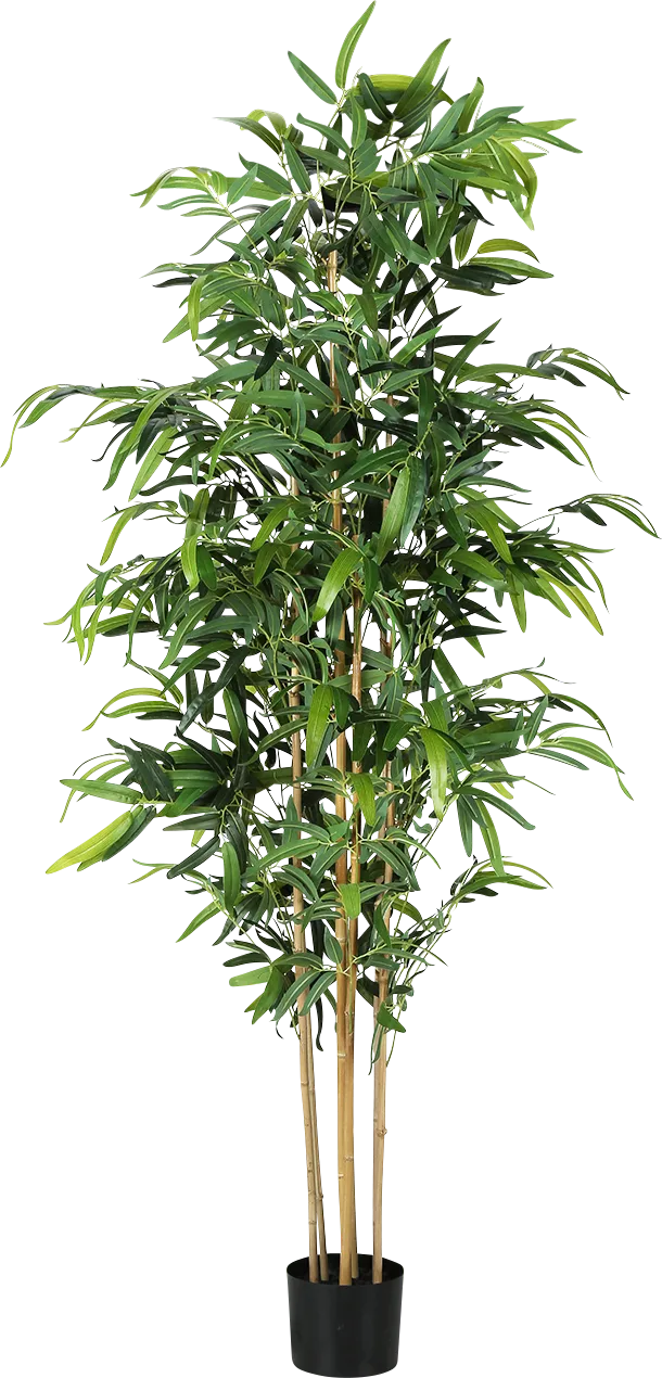 Bourne Green Silk Plant - Image 1