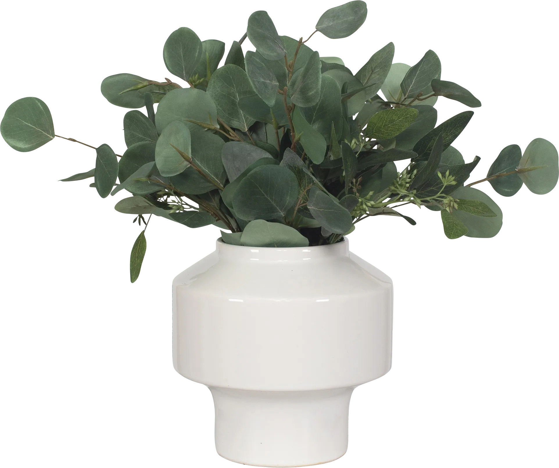 Akechi White Silk Plant - Thumbnail - Image 1