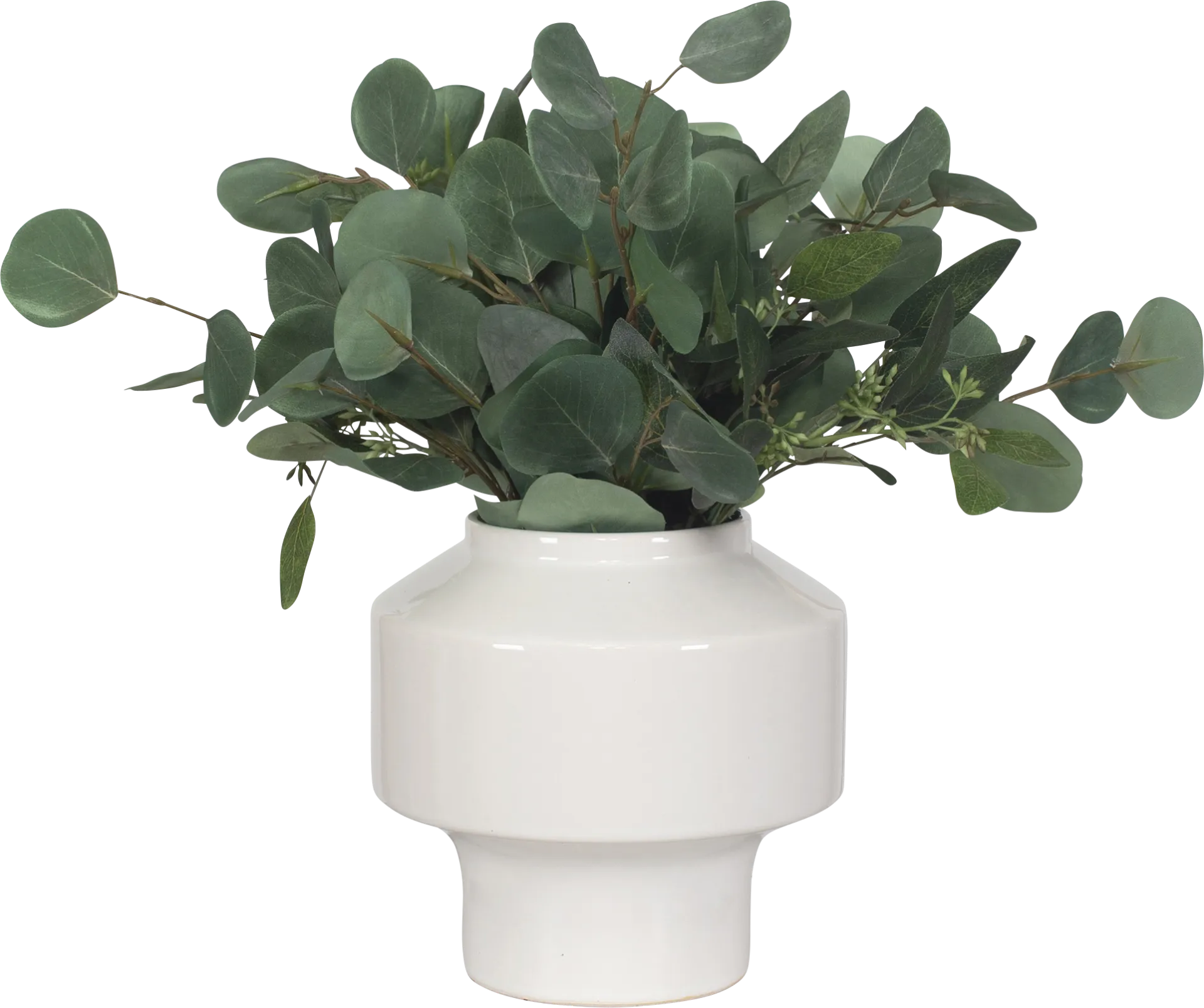 Akechi White Silk Plant - Image 1