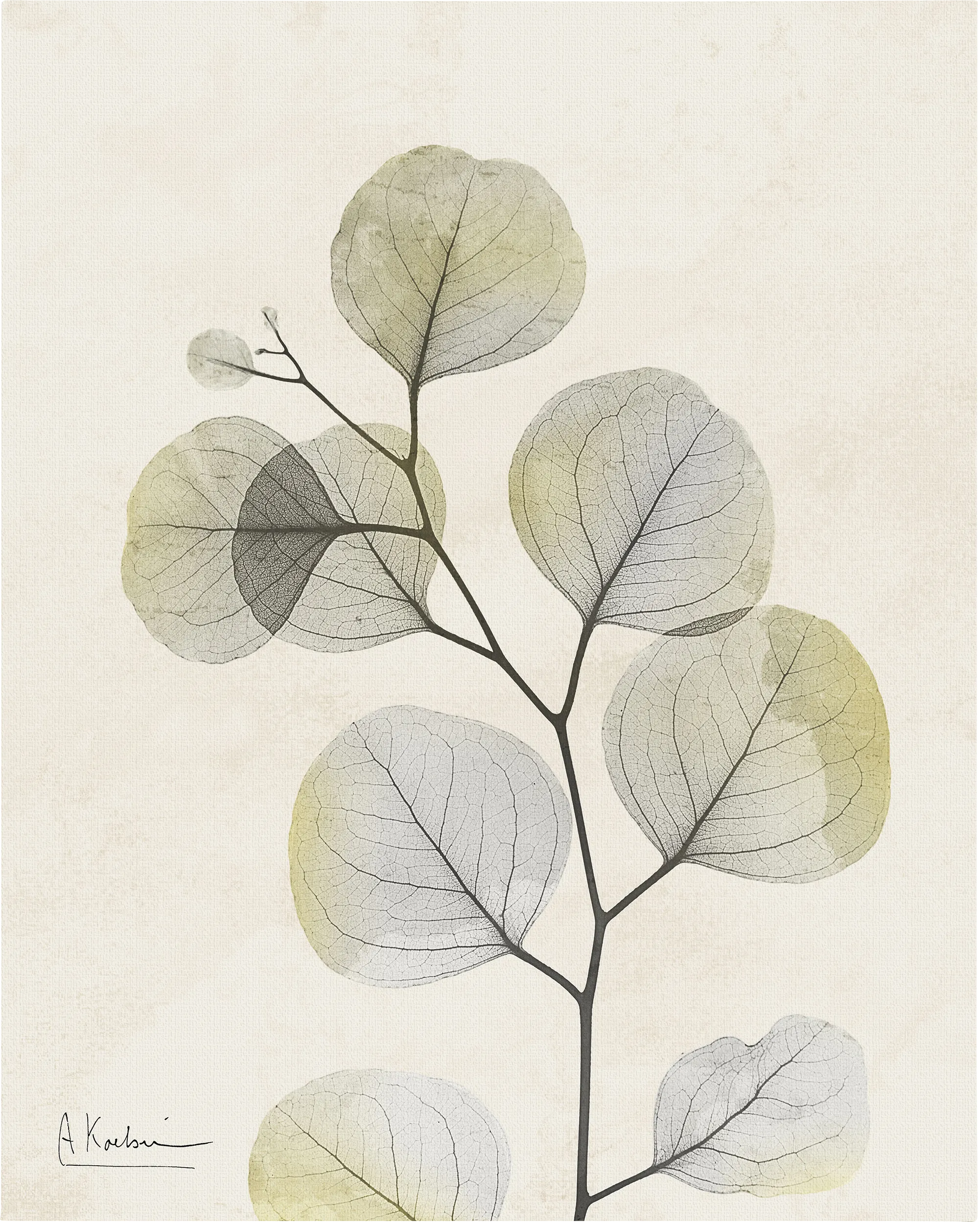 Sunkissed Multi Artwork - Image 1