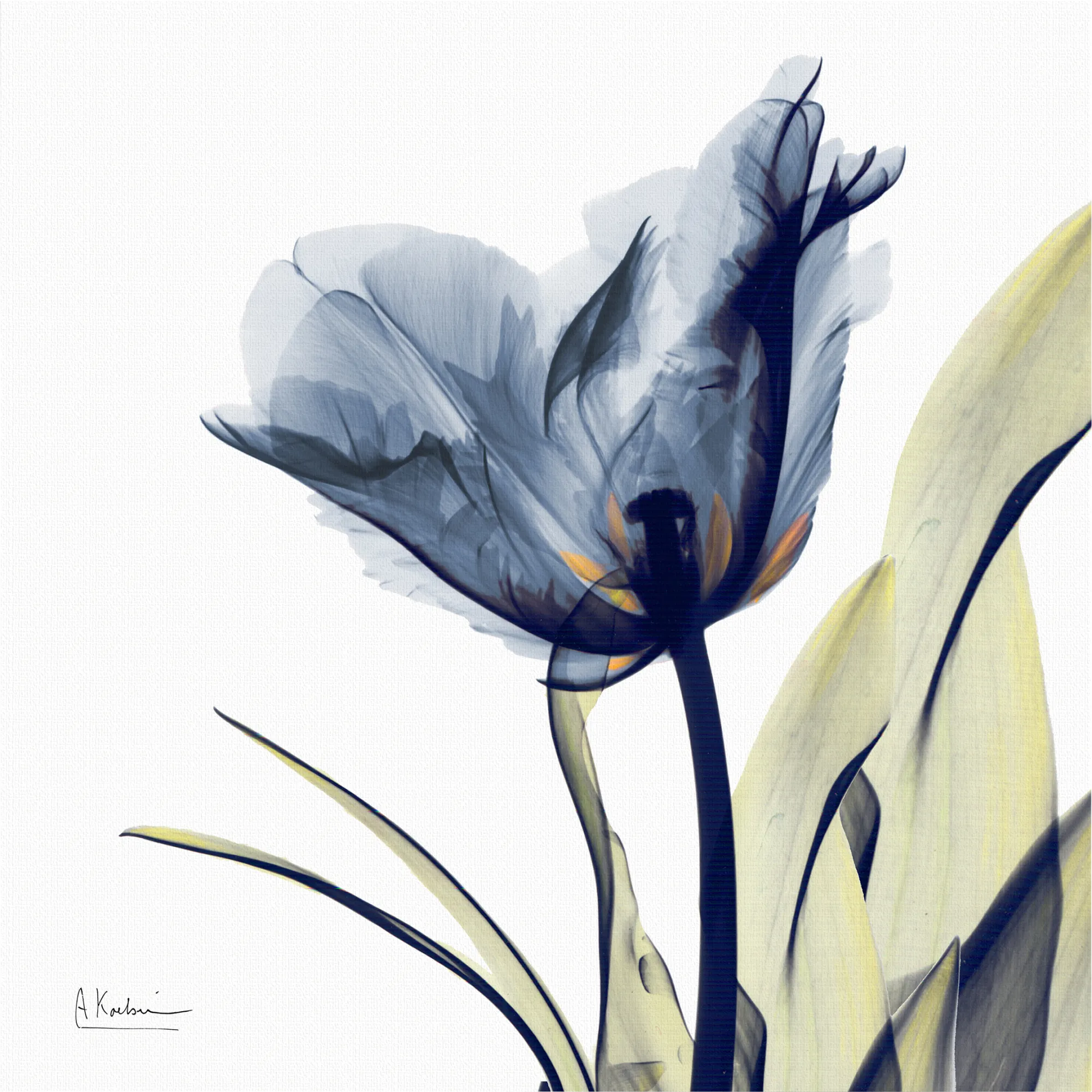 Blue Tulip Multi Artwork - Thumbnail - Image 1