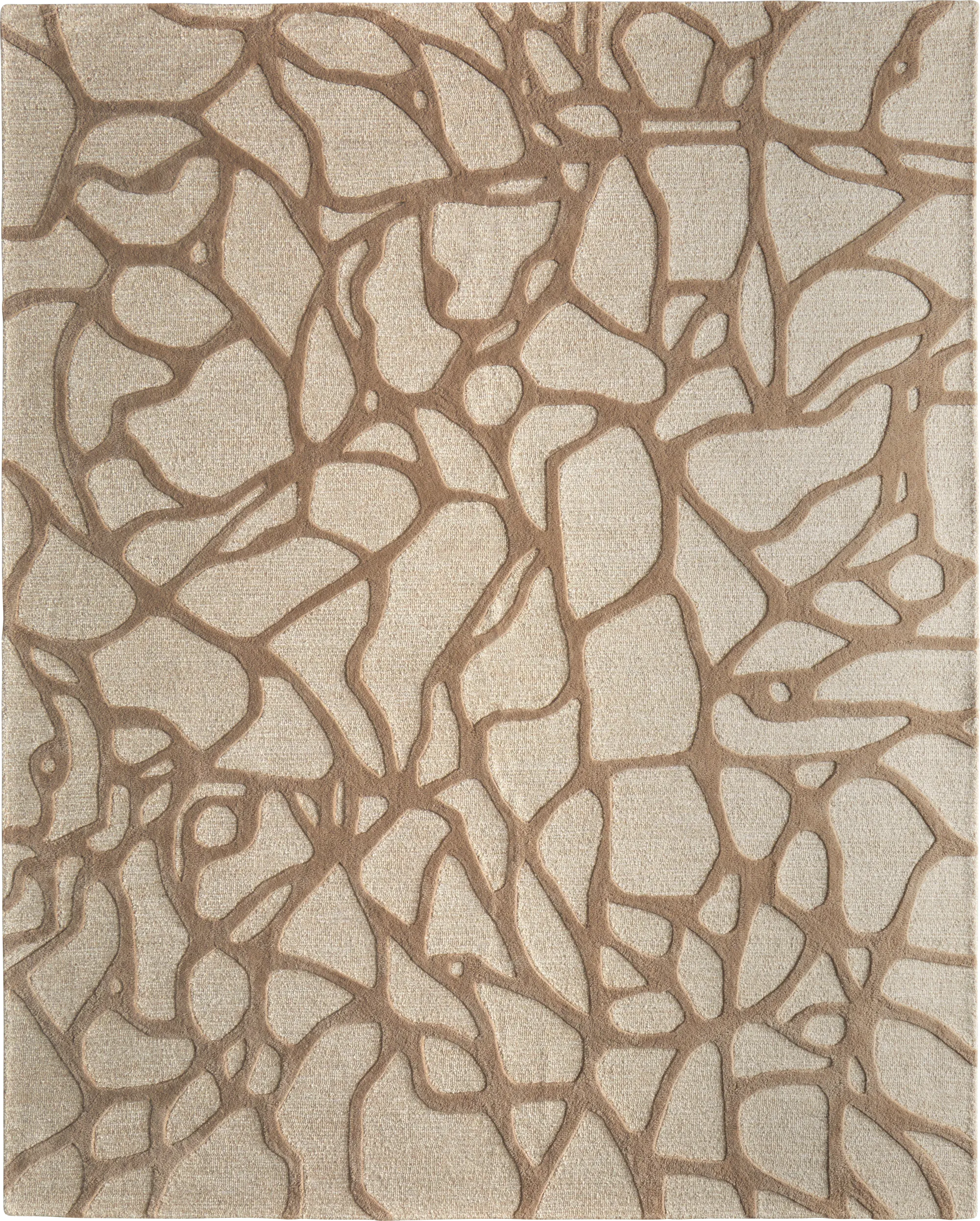 Kimly Brown 8' x 10' Rug - Image 1