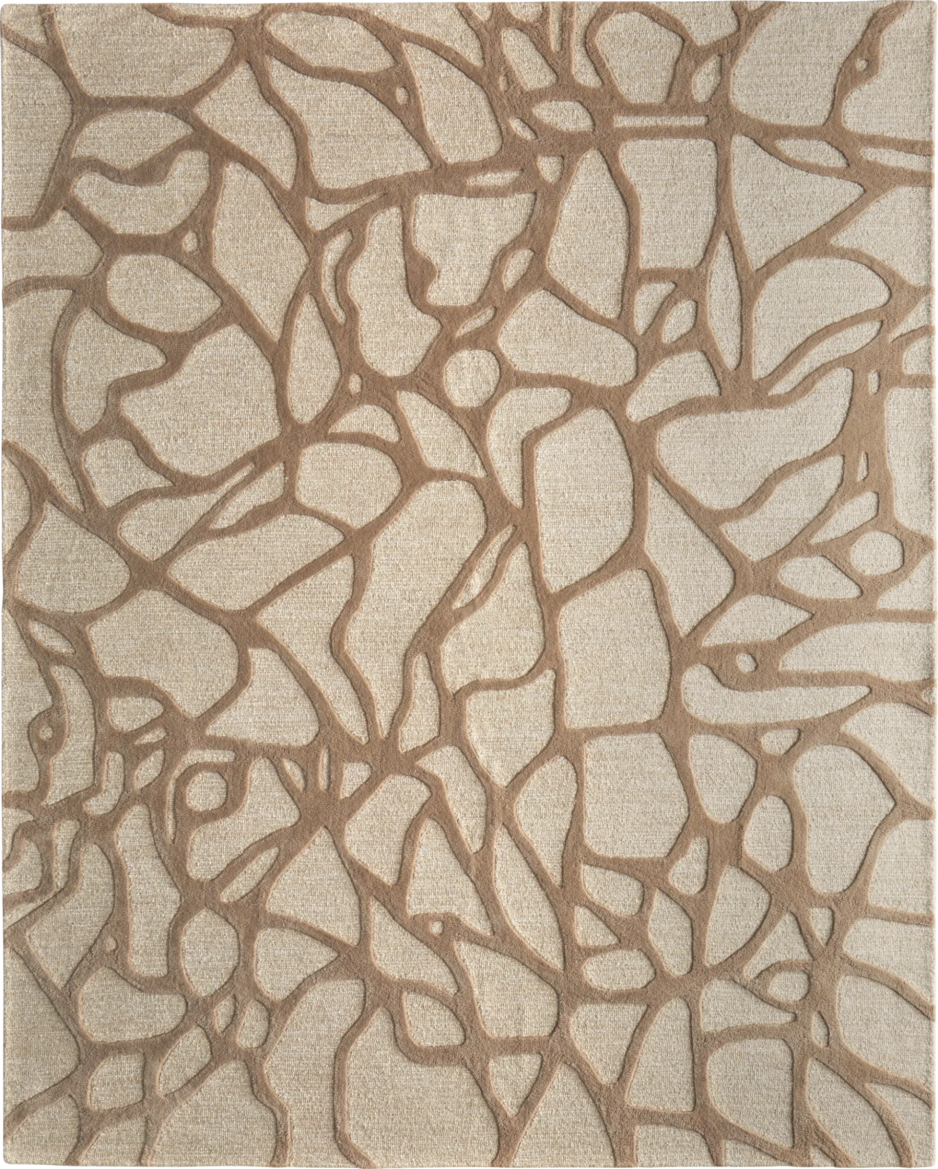 Kimly Brown 8' x 10' Rug
