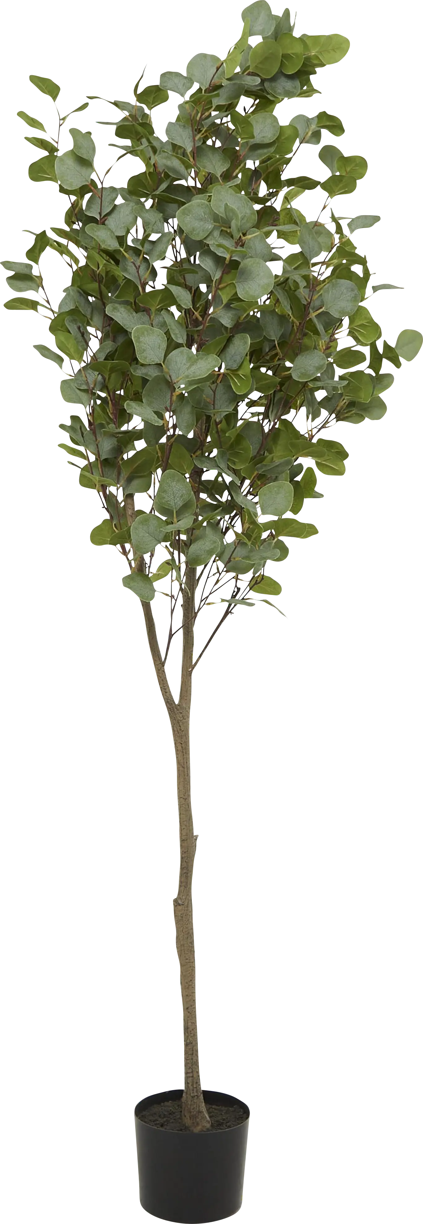 Sinal Green Faux Eucalyptus Indoor/Outdoor Plant