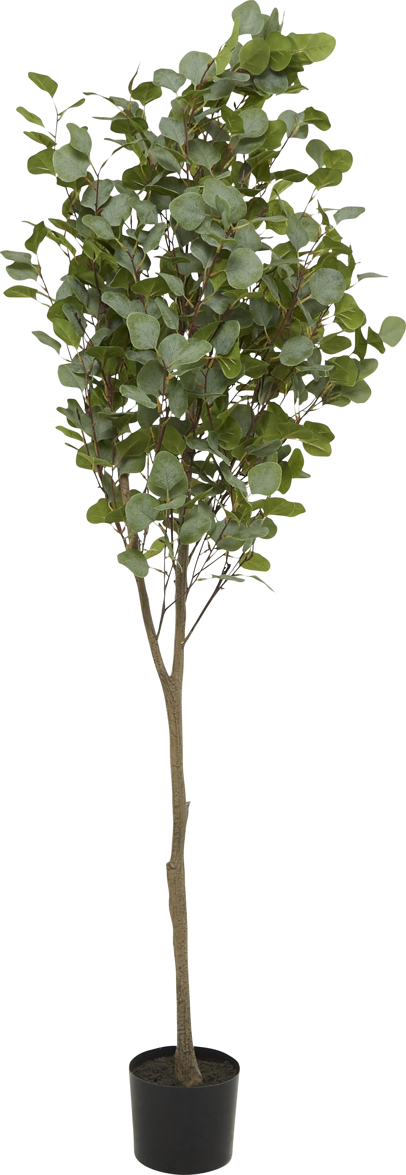 Sinal Green Faux Eucalyptus Indoor/Outdoor Plant - Image 1