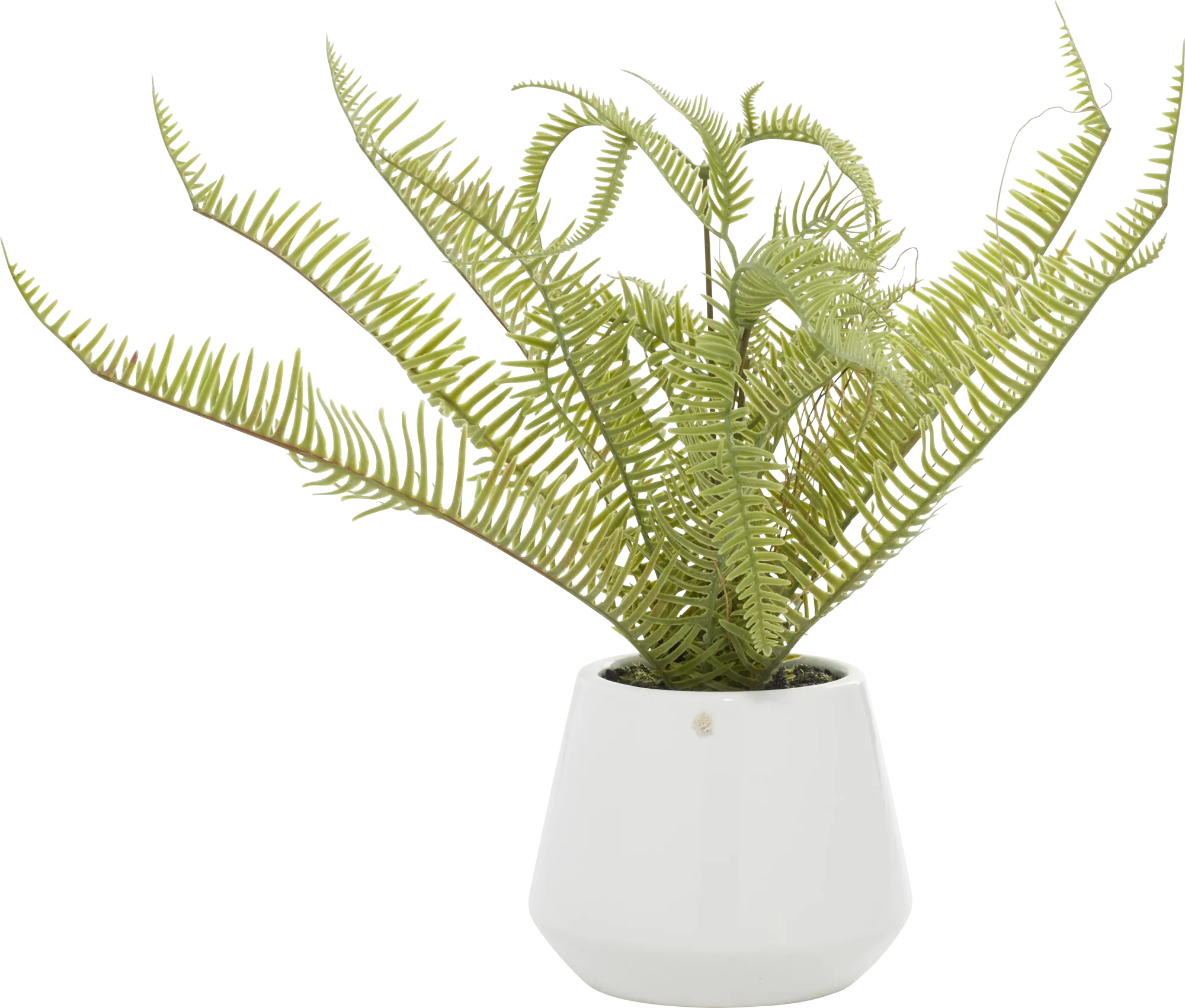 Arthir Green Silk Plant - Thumbnail - Image 1