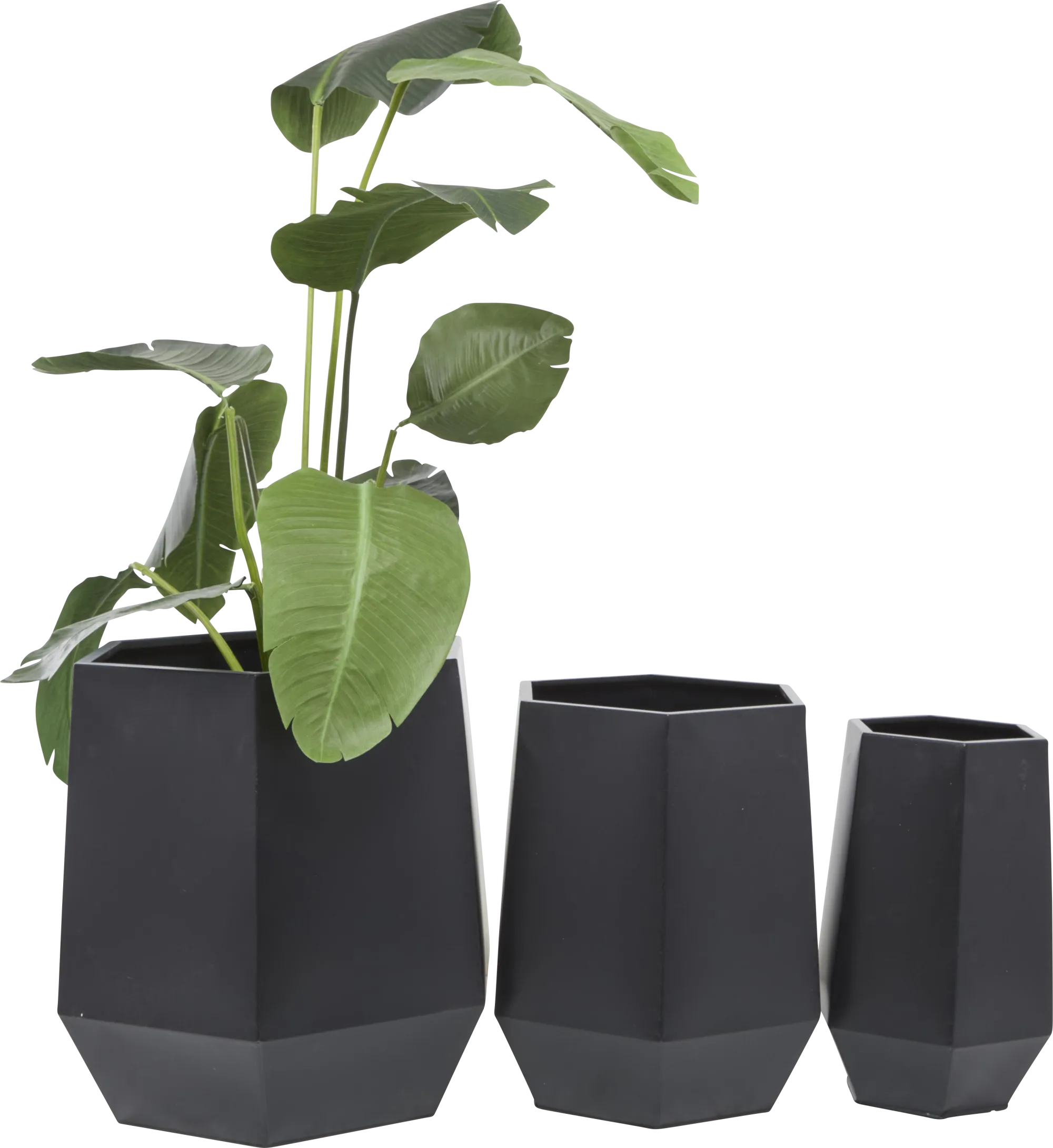 Camren Black Planter, Set of 3 - Image 1