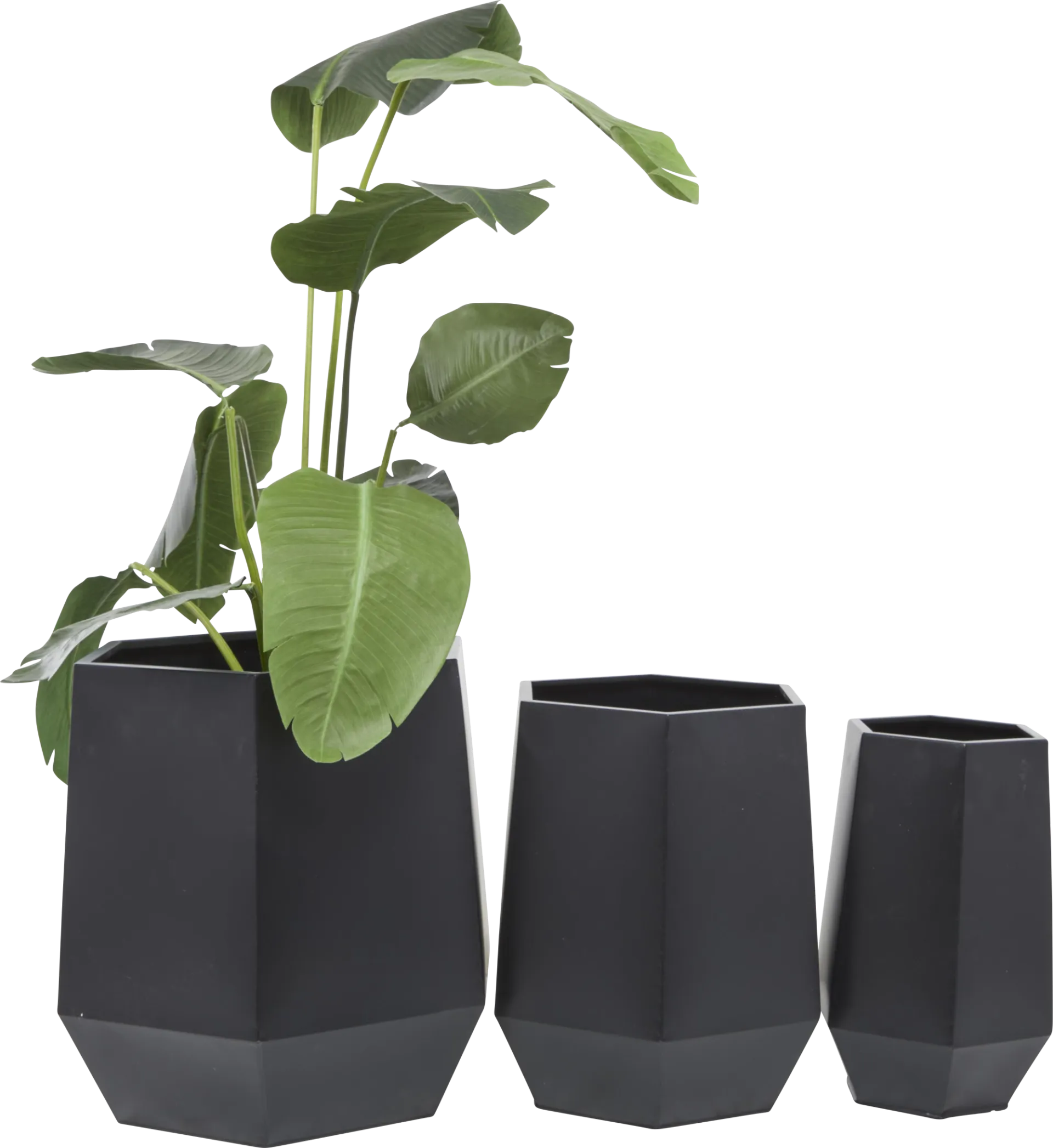 Camren Black Planter, Set of 3 - Image 1