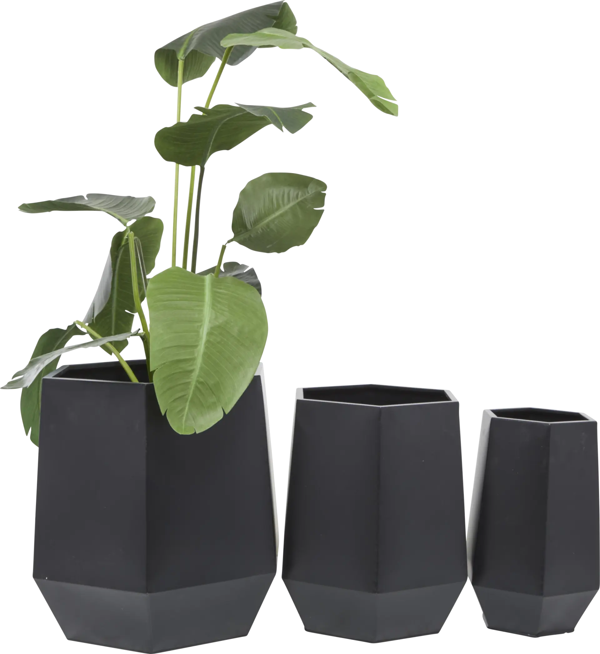 Camren Black Planter, Set of 3