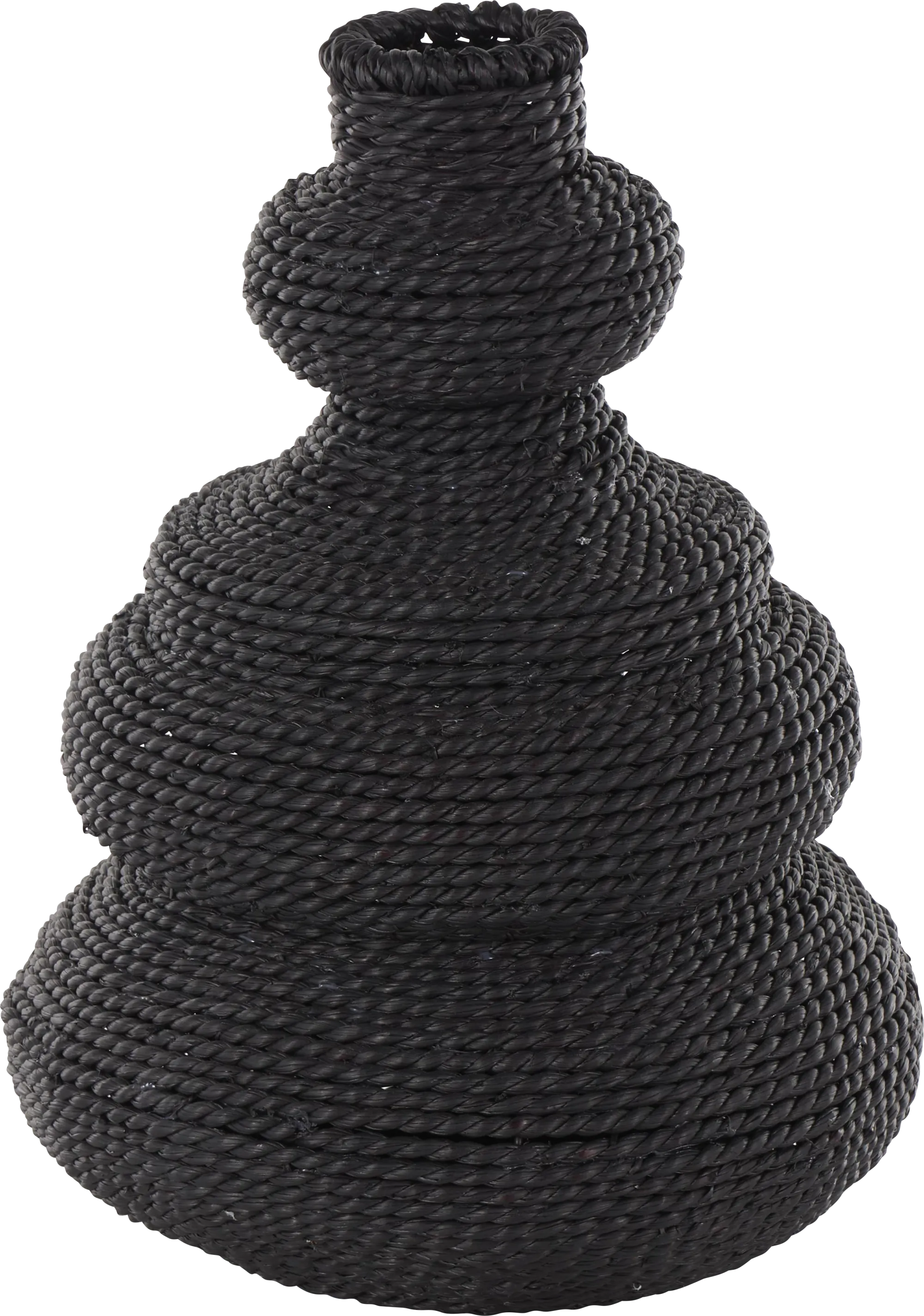 Cayelyn Black Vase - Image 1