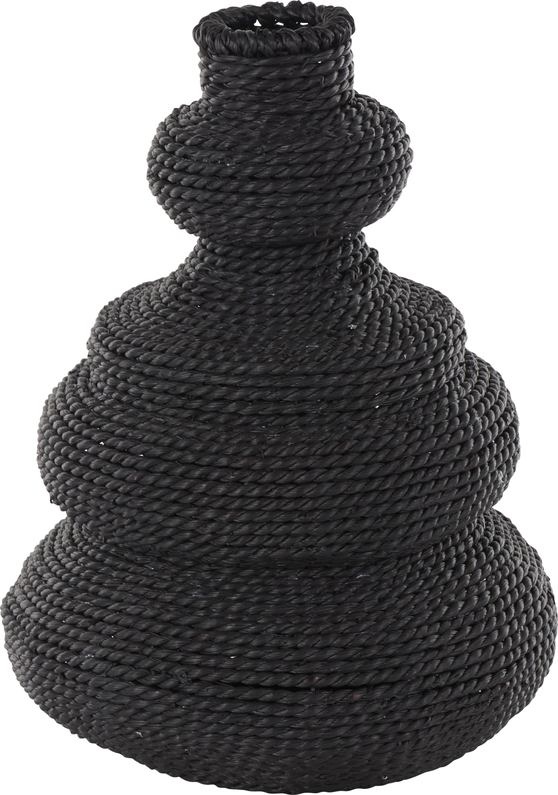 Cayelyn Black Vase - Image 1