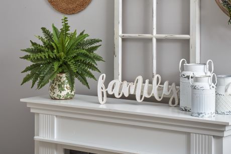 Family. A white mantel with a fern in a vase, a "family" sign, and white decorative milk jugs.
