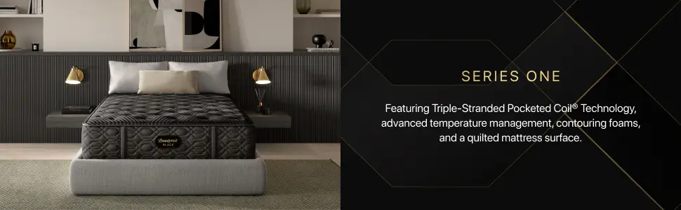 BRB Series 1 EC Image 2 (1).jpg