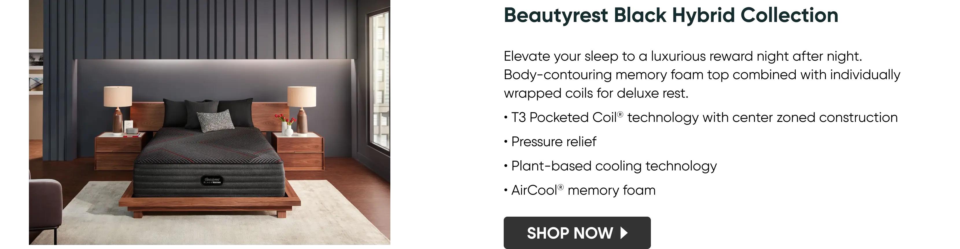 Beautyrest Black Hybrid Collection_Desktop.png