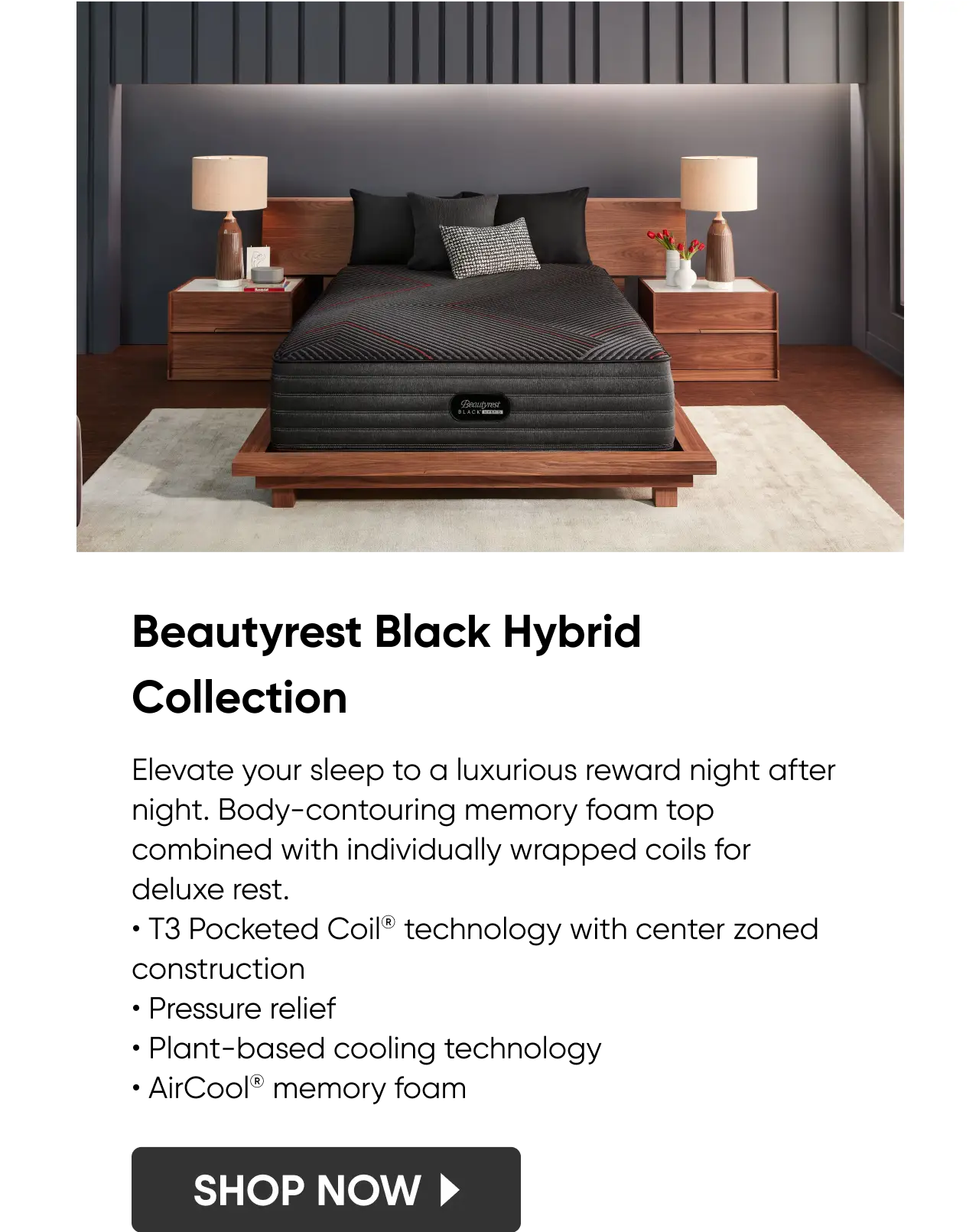 Beautyrest Black Hybrid Collection_Mobile.png