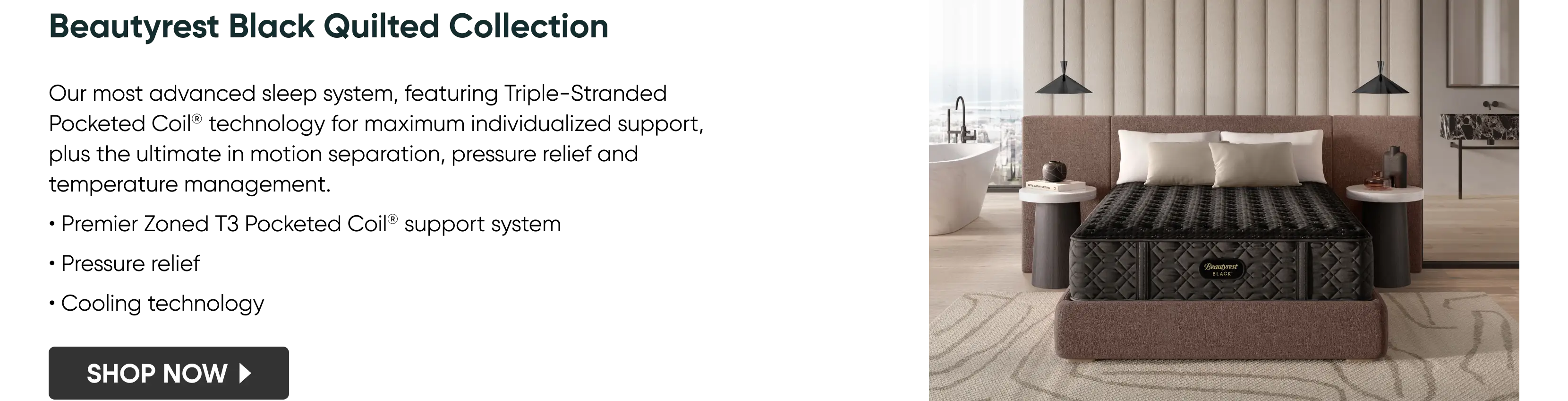 Beautyrest Black Quilted Collection_Desktop.png