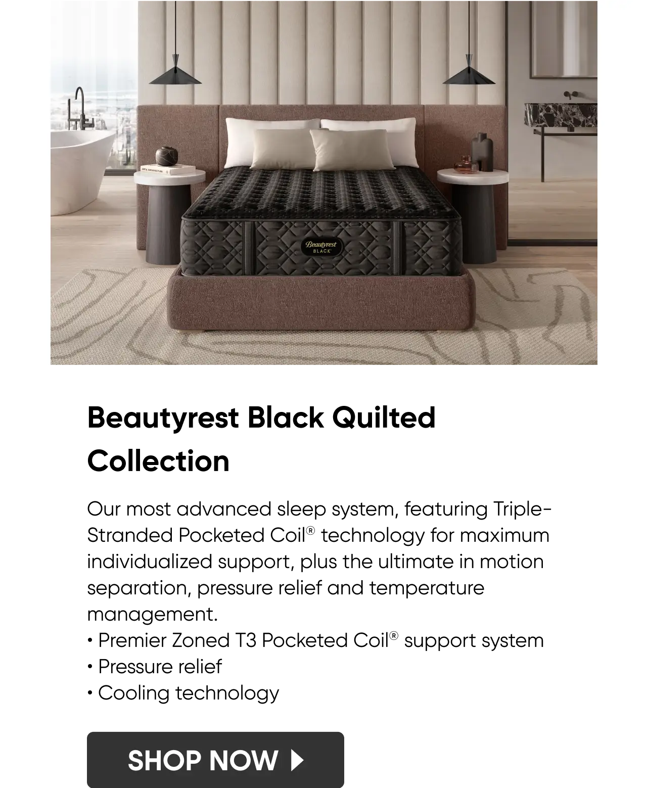 Beautyrest Black Quilted Collection_Mobile.png