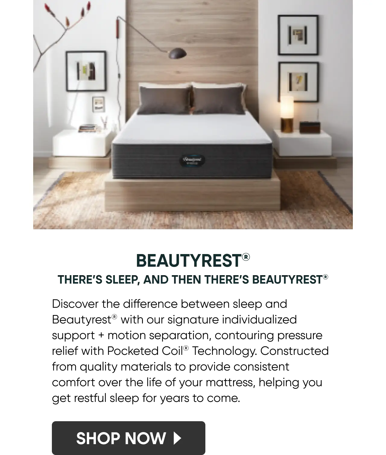 Beautyrest_TheresSleep_MOBILE_SW_640x754.png