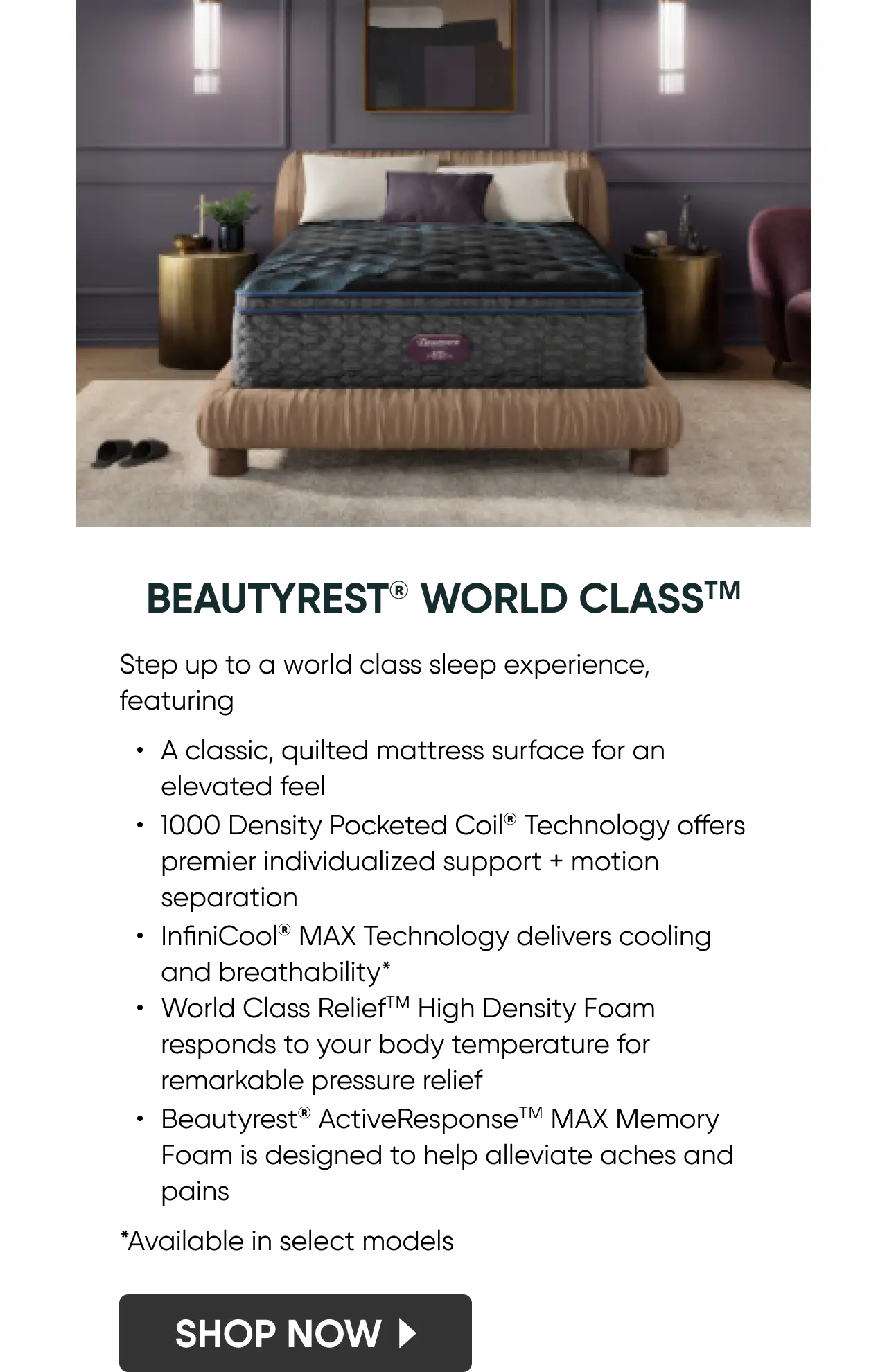 Beautyrest_WorldClass_MOBILE_SW_640x990.png