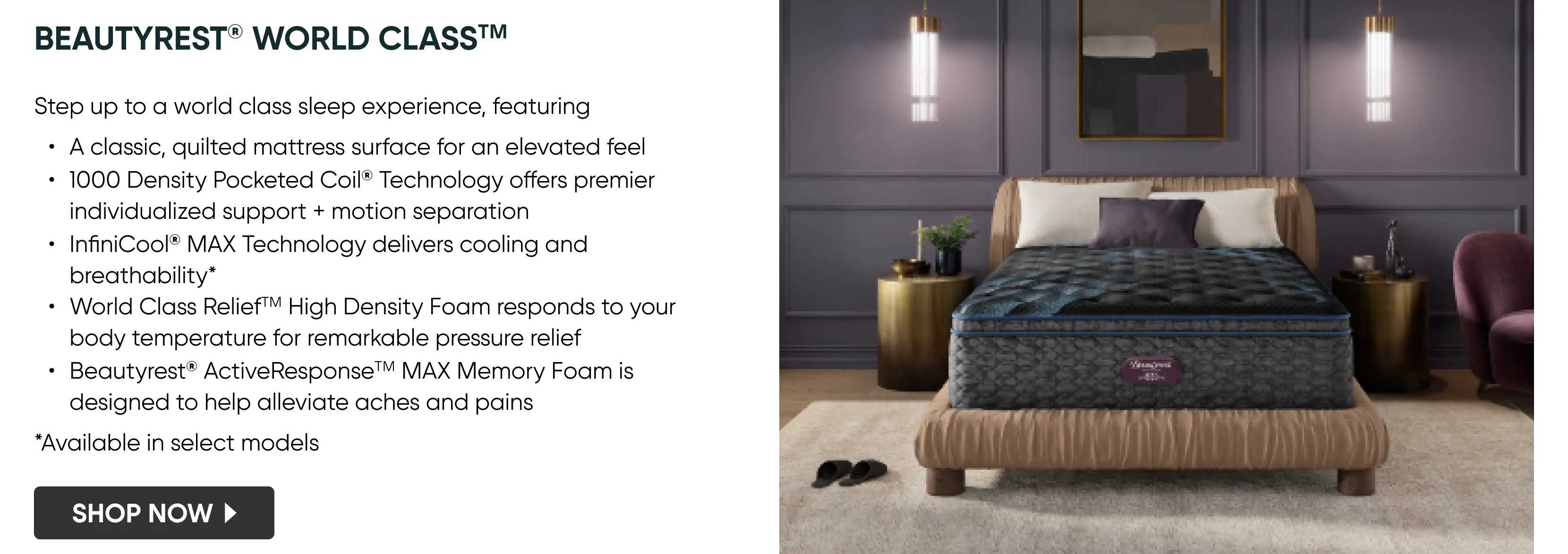 Beautyrest_WorldClass_SW_1660x586.png