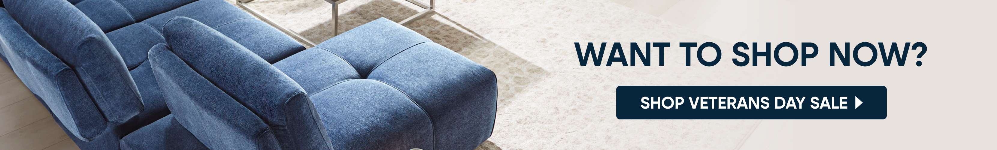 WANT TO SHOP NOW? SHOP VETERANS DAY SALE
