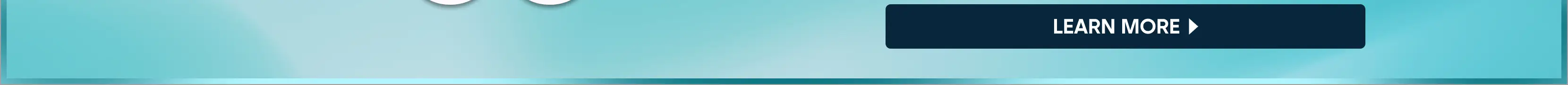 Bottom Desktop Credit - SS1.png