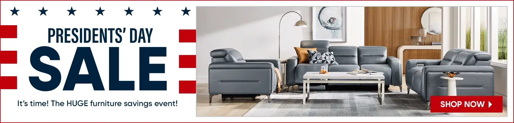 PRESIDENTS' DAY SALE. Shop now for huge furniture savings!

