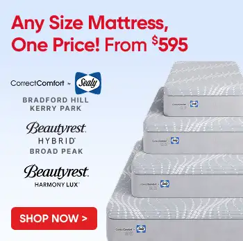Any Size Mattress, One Price! From $595. Shop Now.
