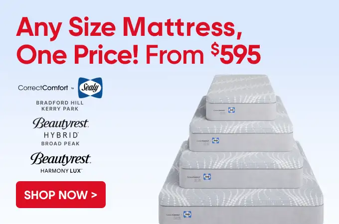 Any Size Mattress, One Price! From $595. Shop Now.
