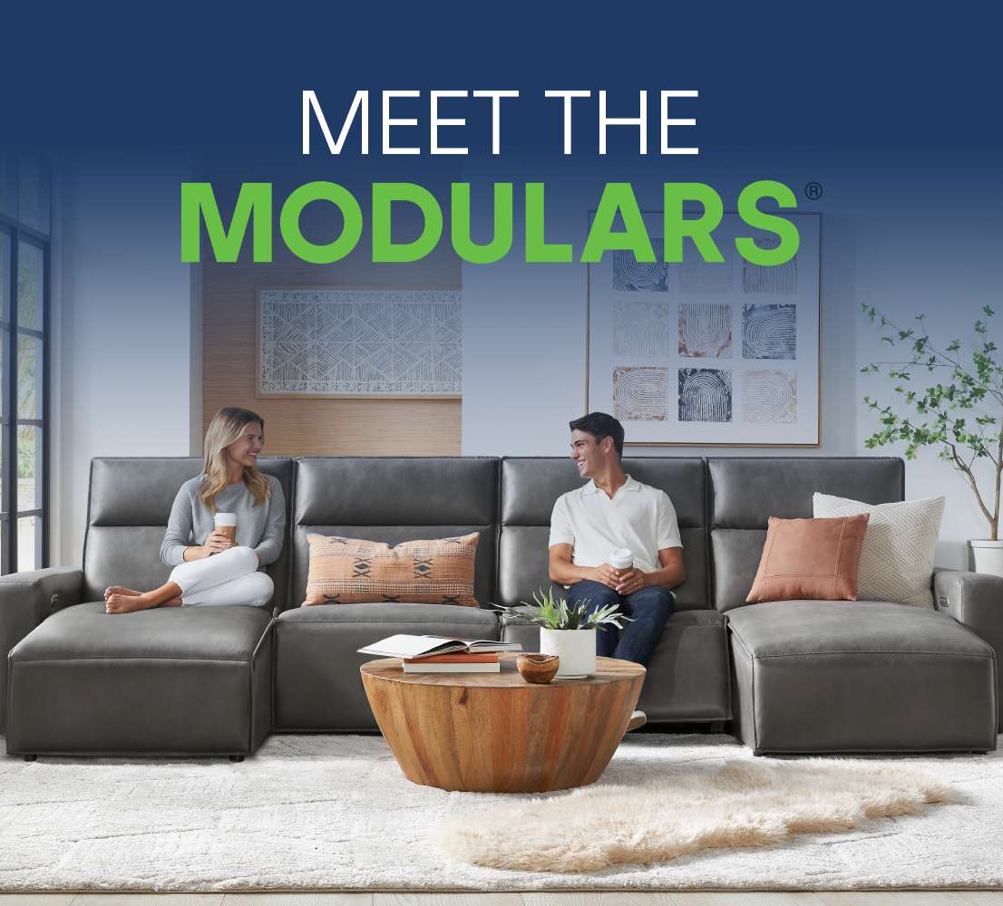 Meet the Modulars
