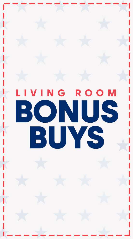 LIVING ROOM BONUS BUYS
