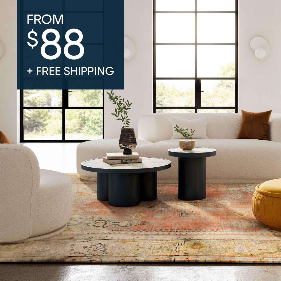 FROM $88 + FREE SHIPPING. A living room with furniture and a rug.
