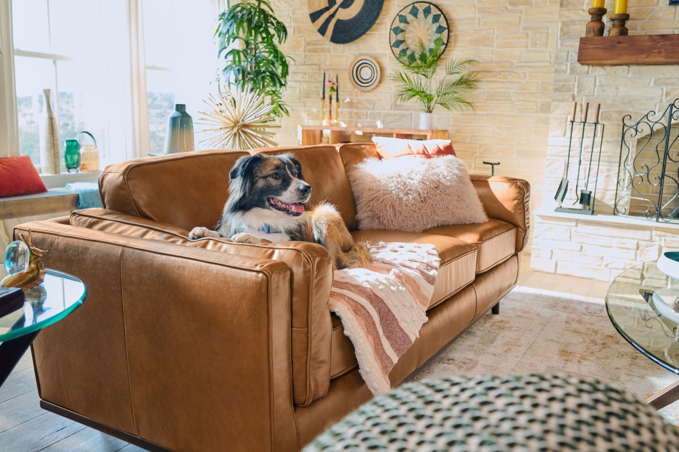 A dog relaxing on a brown leather sofa in a living room.
