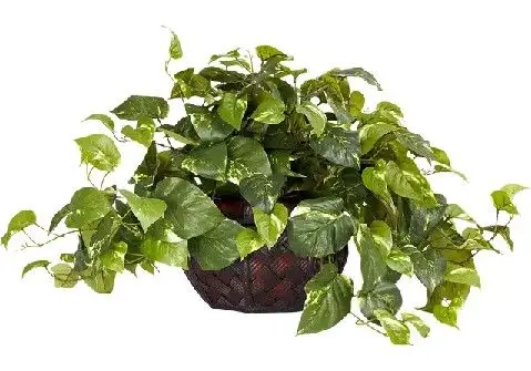 Discount Silk Flowers.jpg