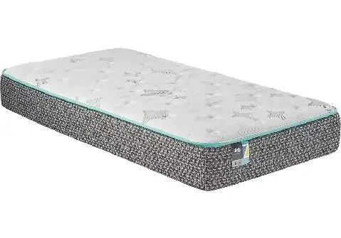 Discount Twin Mattresses.jpg