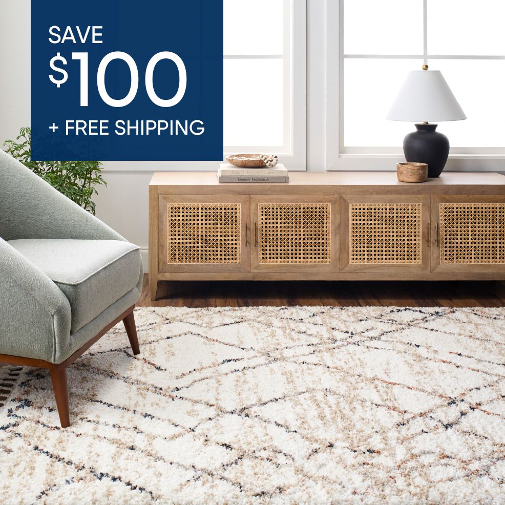 SAVE $100 + FREE SHIPPING. A living room with a rug, chair, and cabinet.
