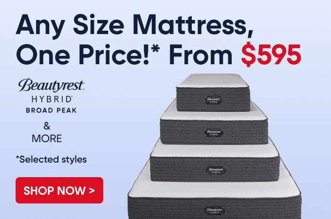 Any Size Mattress, One Price! From $595. Shop Now.