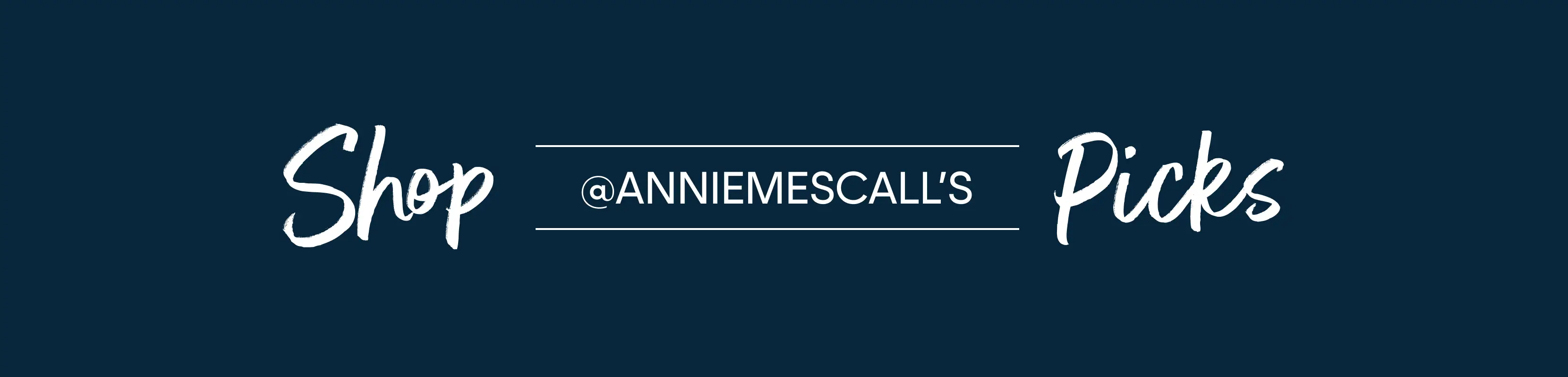 InfluencerPage_Banner_SW_1660x400 copy.annie.png