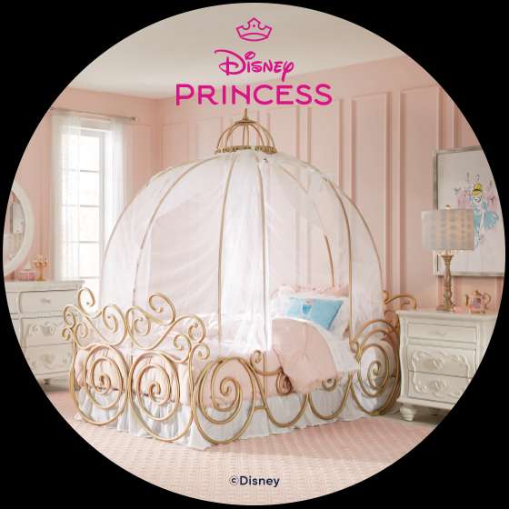 Disney Princess