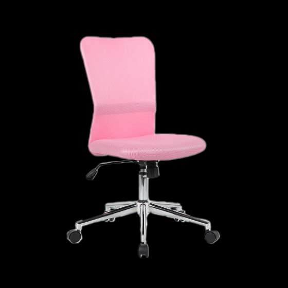 Desk Chairs