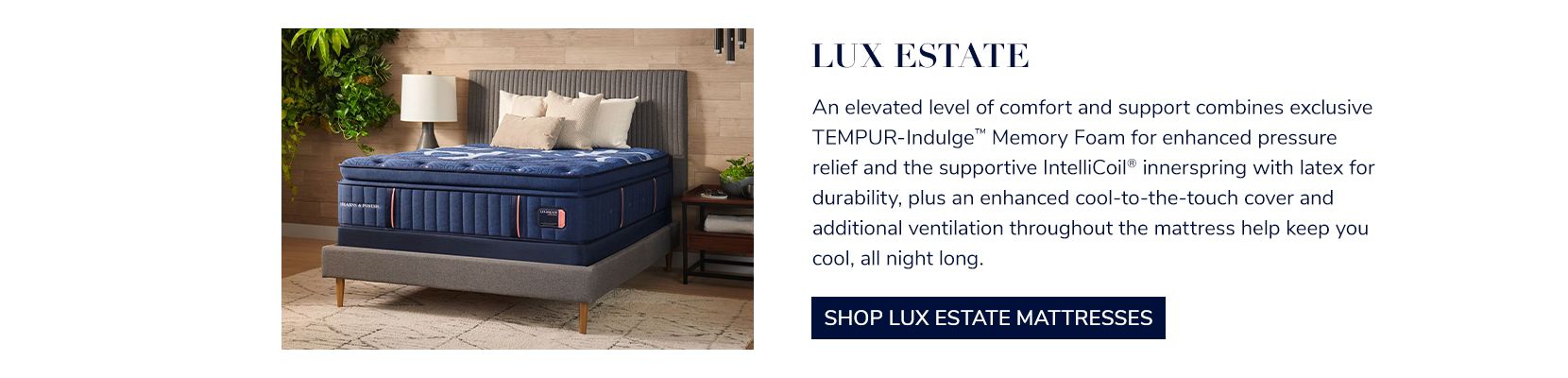 LuxEstate_Banner_1660x400.jpg