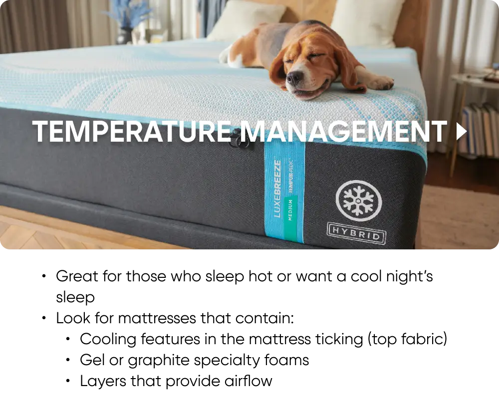 MT_CatPg_Features_Banner_KB_1660w_02_Temp.png