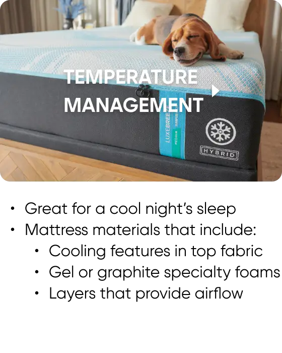 MT_CatPg_Features_banner_KB_390w_01_Temp.png