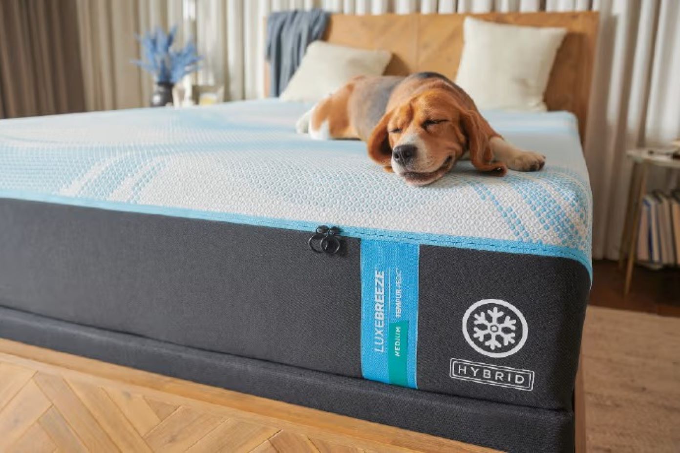 LUXEBREEZE TEMPUR-PEDIC HYBRID mattress with a dog sleeping on it.
