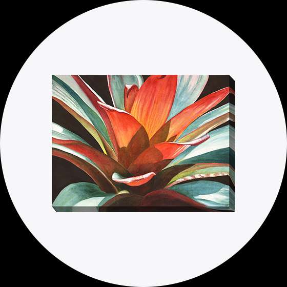 A watercolor painting of a bromeliad plant on a canvas.
