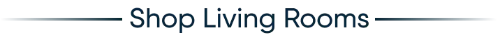 OnlineExclusives_Title_Divider_LR_M_358x27.png