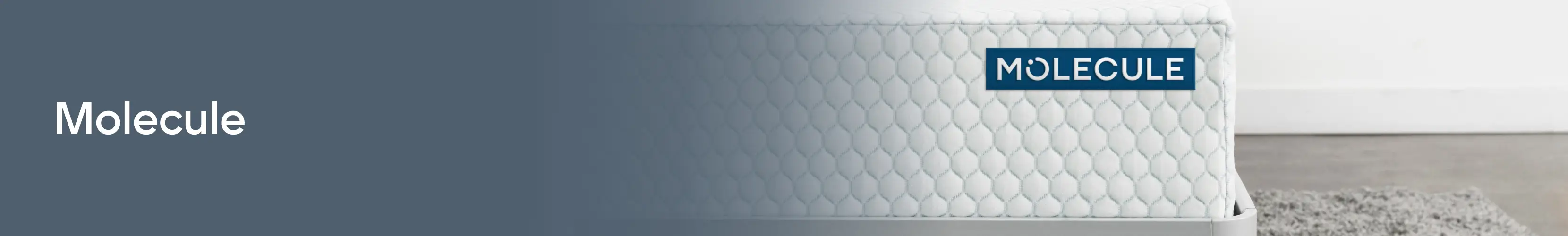 PLP Header_Mattress_Molecule_SW_Desktop_1660x250.jpg