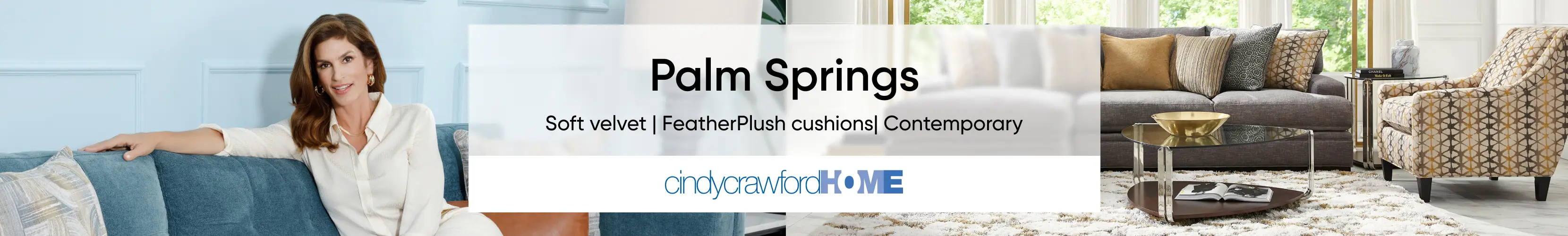 Palm Springs _Desktop.jpg