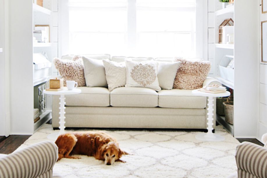 A golden retriever lies on a patterned rug in front of a cream-colored sofa with decorative pillows.
